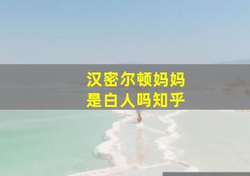 汉密尔顿妈妈是白人吗知乎