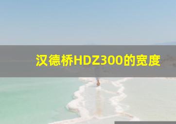 汉德桥HDZ300的宽度