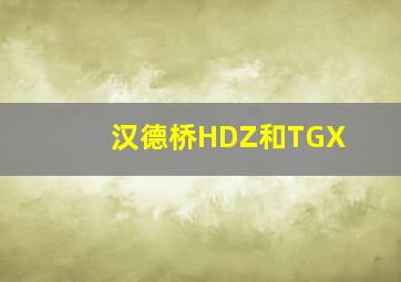 汉德桥HDZ和TGX