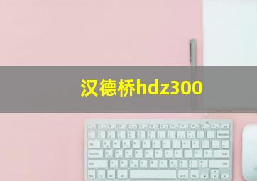 汉德桥hdz300