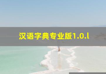 汉语字典专业版1.0.l