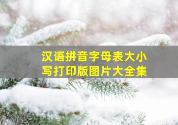 汉语拼音字母表大小写打印版图片大全集