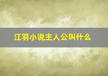 江羽小说主人公叫什么