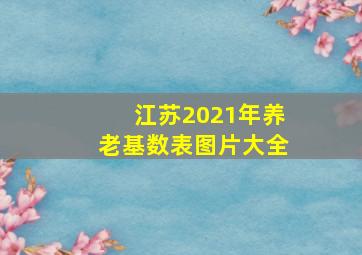 江苏2021年养老基数表图片大全