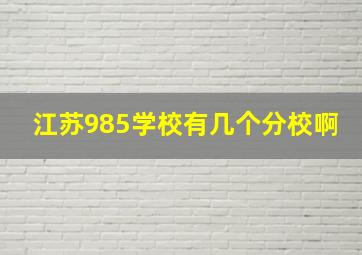 江苏985学校有几个分校啊