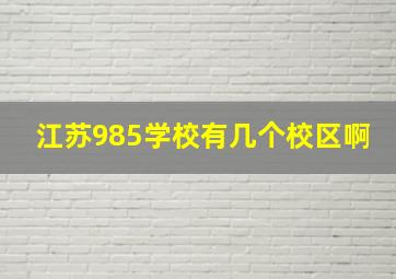 江苏985学校有几个校区啊