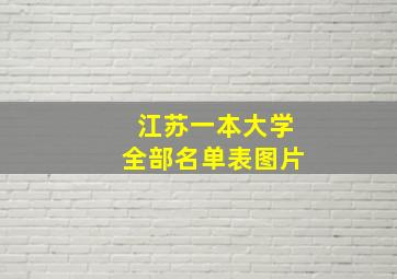 江苏一本大学全部名单表图片