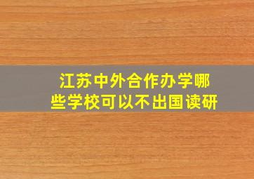 江苏中外合作办学哪些学校可以不出国读研