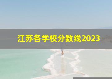 江苏各学校分数线2023