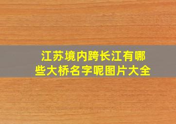 江苏境内跨长江有哪些大桥名字呢图片大全