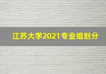 江苏大学2021专业组划分