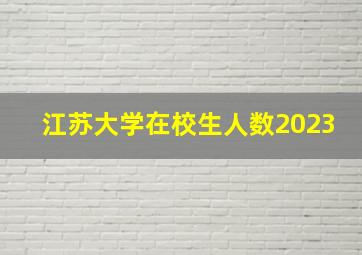 江苏大学在校生人数2023