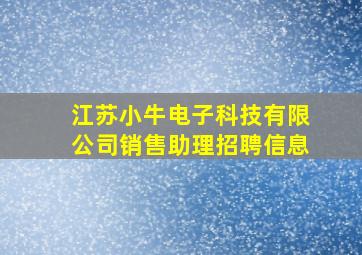 江苏小牛电子科技有限公司销售助理招聘信息