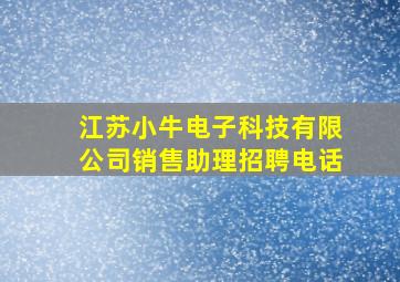 江苏小牛电子科技有限公司销售助理招聘电话