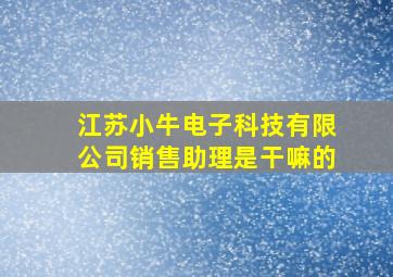 江苏小牛电子科技有限公司销售助理是干嘛的