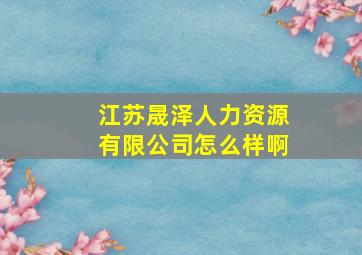 江苏晟泽人力资源有限公司怎么样啊