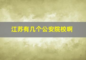 江苏有几个公安院校啊