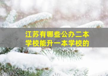 江苏有哪些公办二本学校能升一本学校的