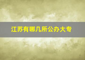 江苏有哪几所公办大专