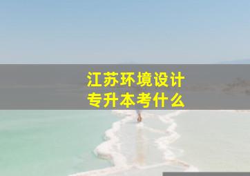 江苏环境设计专升本考什么