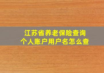 江苏省养老保险查询个人账户用户名怎么查