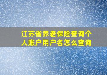 江苏省养老保险查询个人账户用户名怎么查询