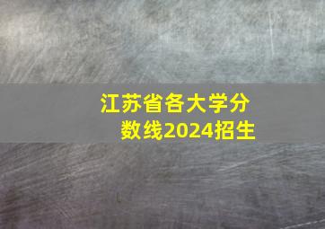 江苏省各大学分数线2024招生