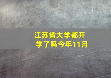 江苏省大学都开学了吗今年11月