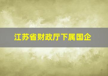 江苏省财政厅下属国企