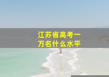 江苏省高考一万名什么水平