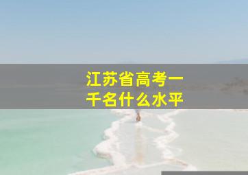 江苏省高考一千名什么水平