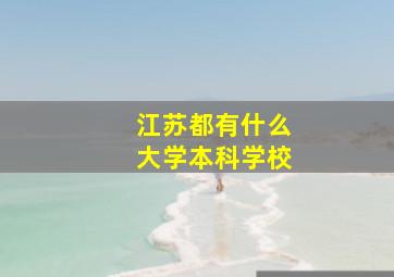 江苏都有什么大学本科学校