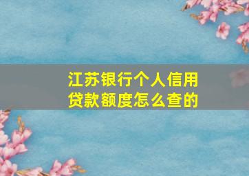 江苏银行个人信用贷款额度怎么查的