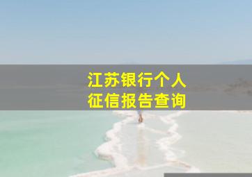 江苏银行个人征信报告查询