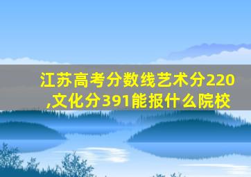 江苏高考分数线艺术分220,文化分391能报什么院校