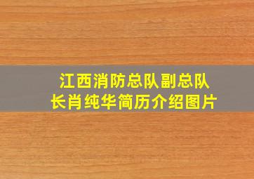 江西消防总队副总队长肖纯华简历介绍图片