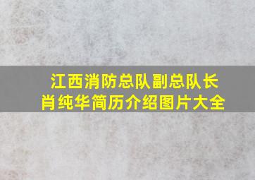 江西消防总队副总队长肖纯华简历介绍图片大全