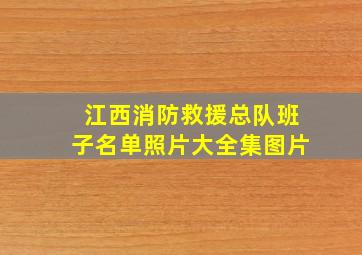 江西消防救援总队班子名单照片大全集图片