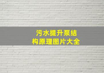 污水提升泵结构原理图片大全