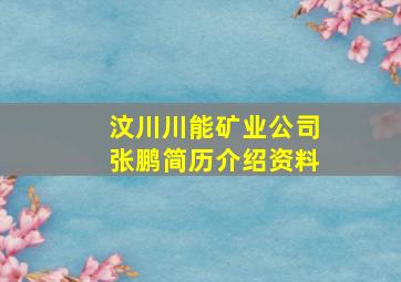 汶川川能矿业公司张鹏简历介绍资料