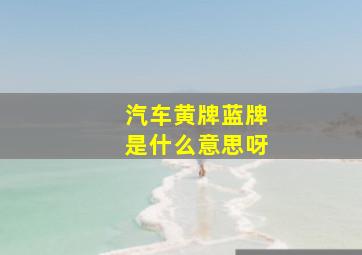 汽车黄牌蓝牌是什么意思呀