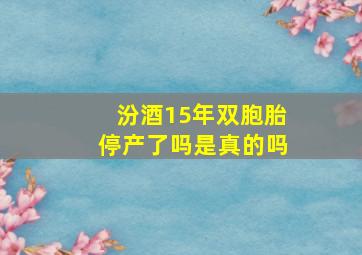 汾酒15年双胞胎停产了吗是真的吗