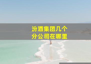 汾酒集团几个分公司在哪里