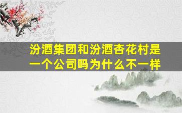 汾酒集团和汾酒杏花村是一个公司吗为什么不一样