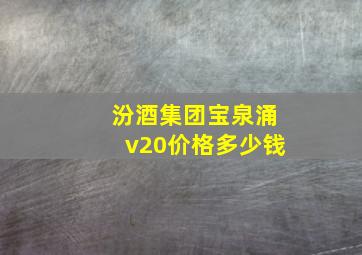 汾酒集团宝泉涌v20价格多少钱