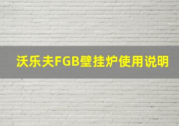 沃乐夫FGB壁挂炉使用说明