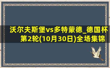 沃尔夫斯堡vs多特蒙德_德国杯第2轮(10月30日)全场集锦