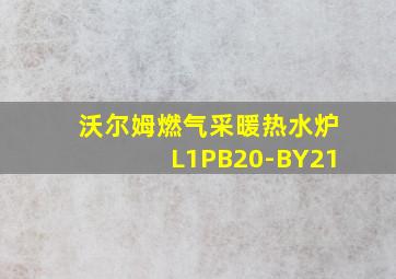 沃尔姆燃气采暖热水炉L1PB20-BY21