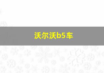 沃尔沃b5车