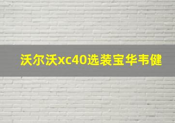 沃尔沃xc40选装宝华韦健